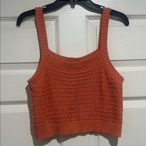 Lulus Terracotta Knit Crop/Tank Top